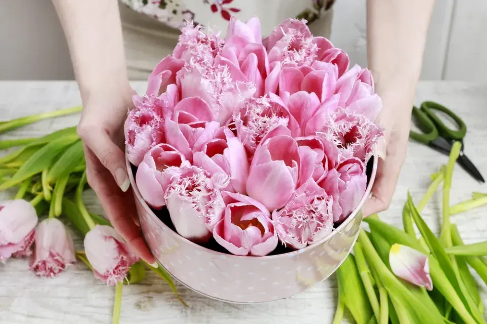 Jak vytvořit dekoraci z tulipánů v dárkové krabici