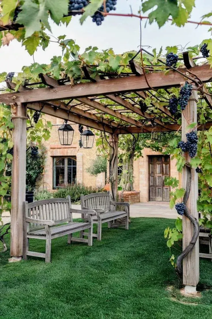 Pergola na zahradě