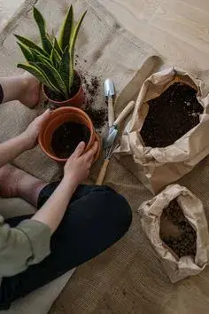 Na přesazování
