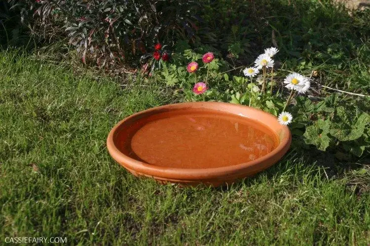 Pítko