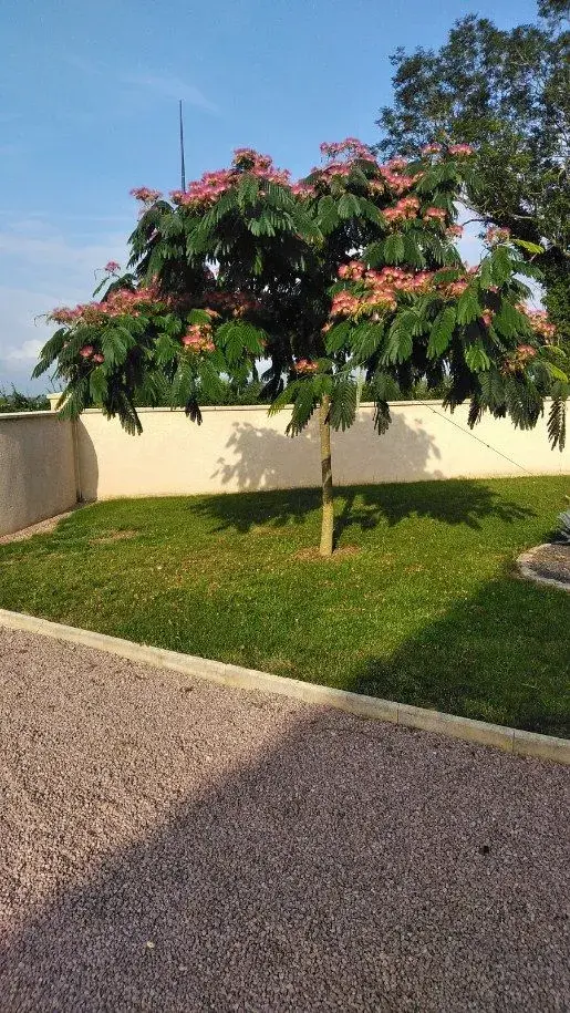 Pajasan