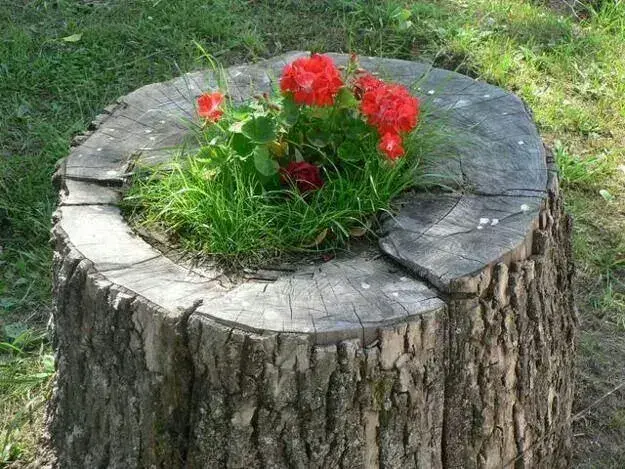 Originální květináč
