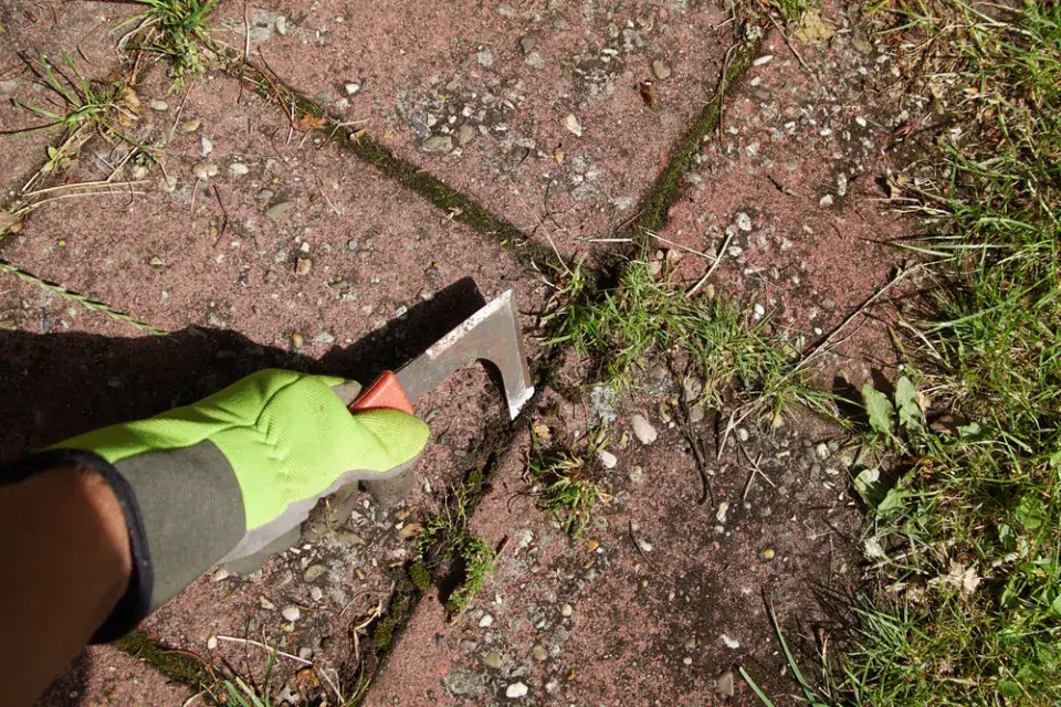  Jak pomůže hrana záhonu i mulč proti trávě?