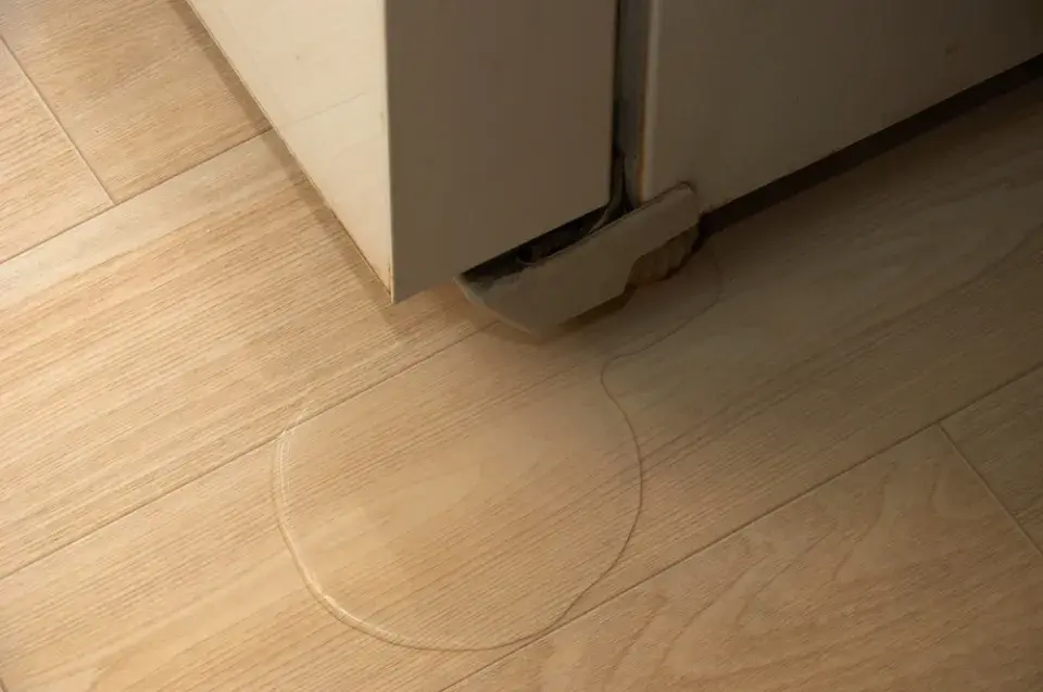 Jak vypadají čisté a správně uspořádané lednice a správná péče?