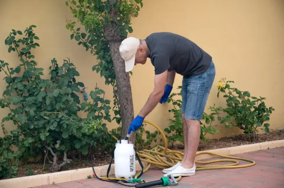 Škůdci stromů a ochrana před nimi