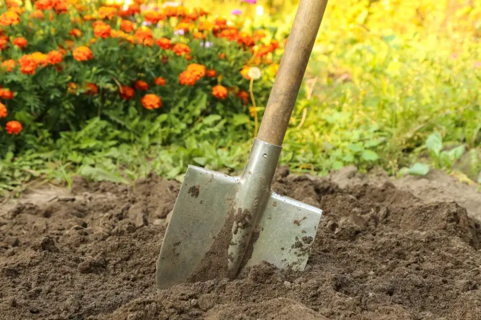 Srpen na zahradě
