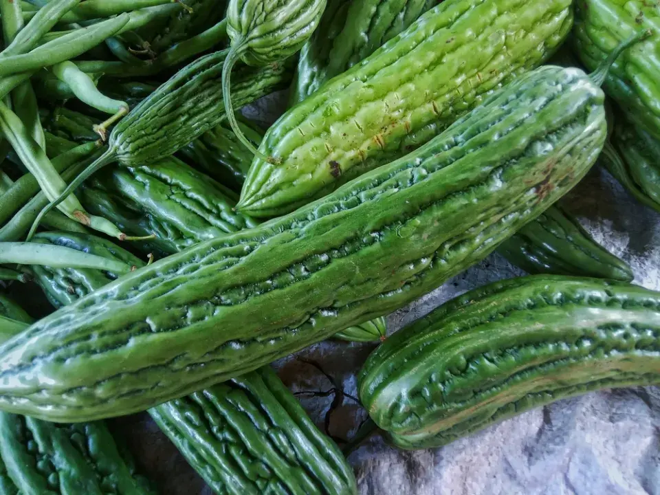 momordika (Momordica charantia)