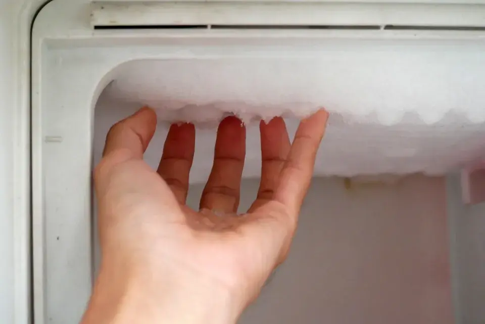 Jak vypadají čisté a správně uspořádané lednice a správná péče?