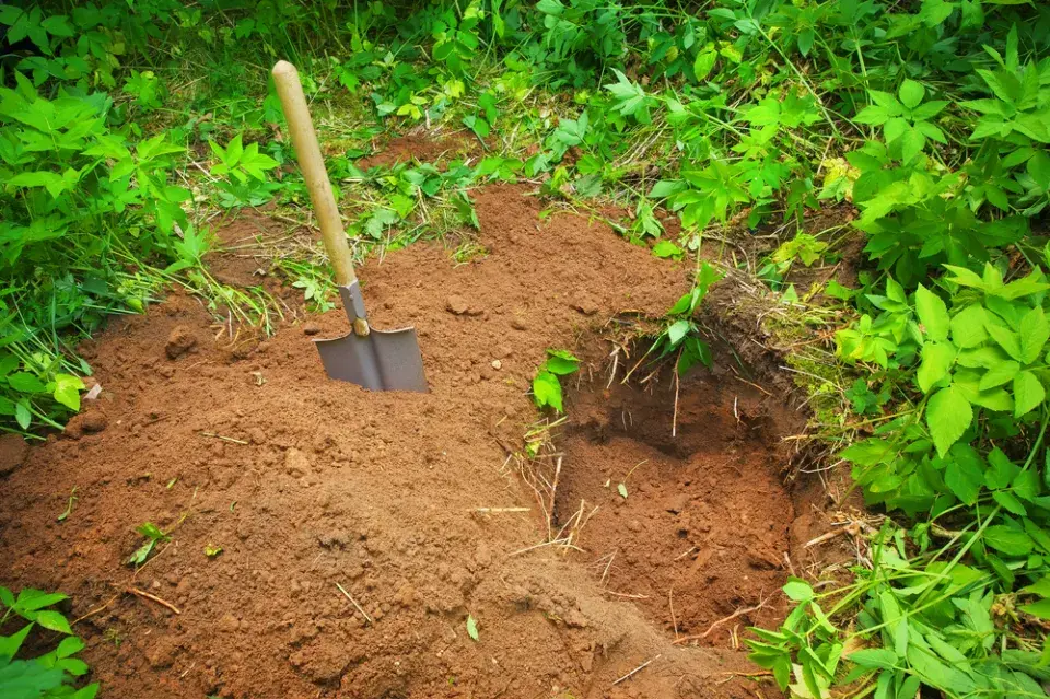 Co dělat, když učiníte vzácný nález v půdě? Než sáhnete po lopatě, raději si ověřte zákon