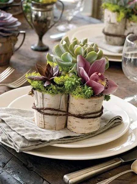 Tabule