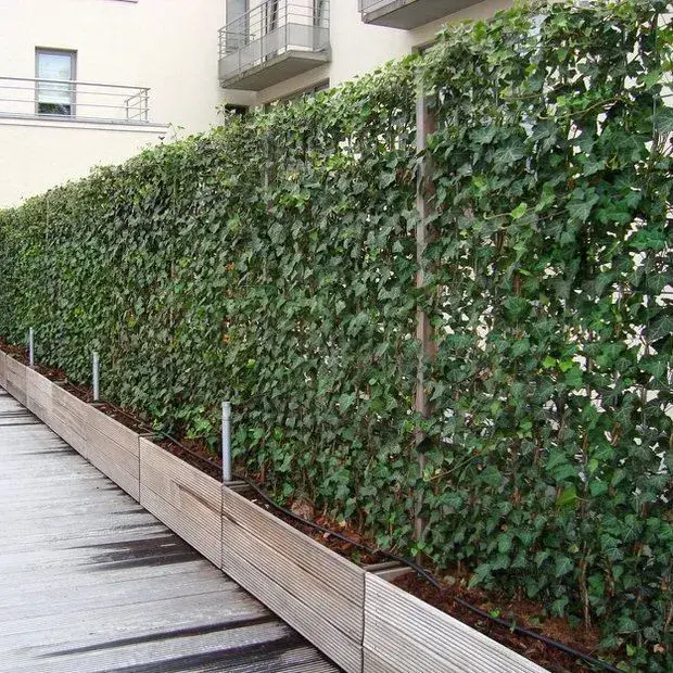 Moderní plot