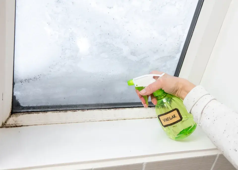 Použití octa u vchodových dveří a další možnosti při úklidu