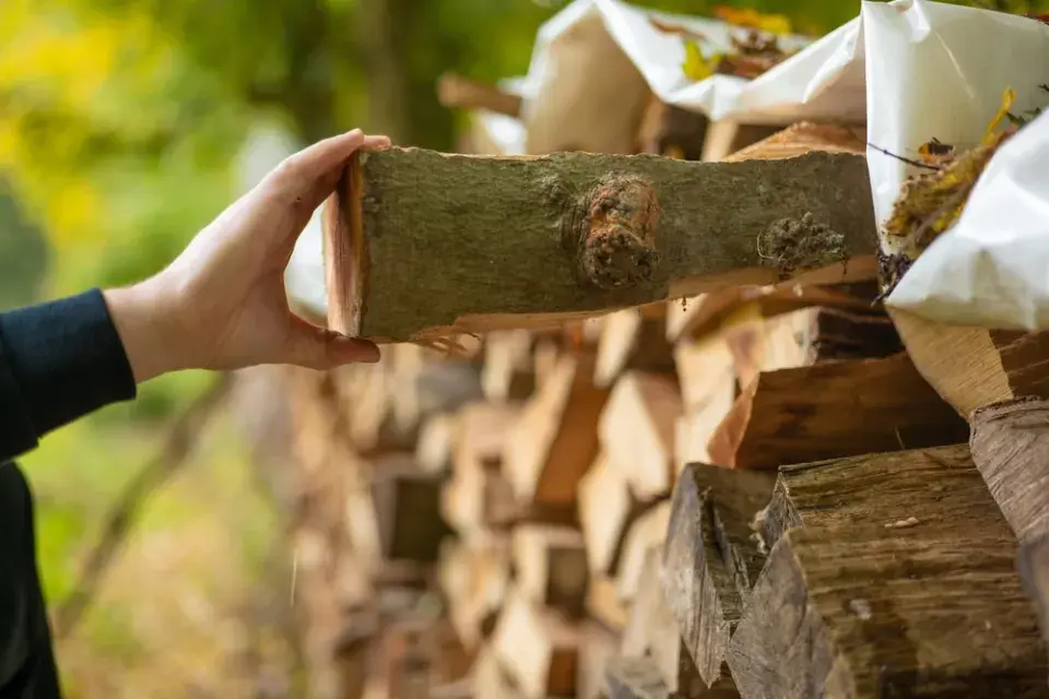 Které dřevo na topení hoří dobře a které může dělat problémy?