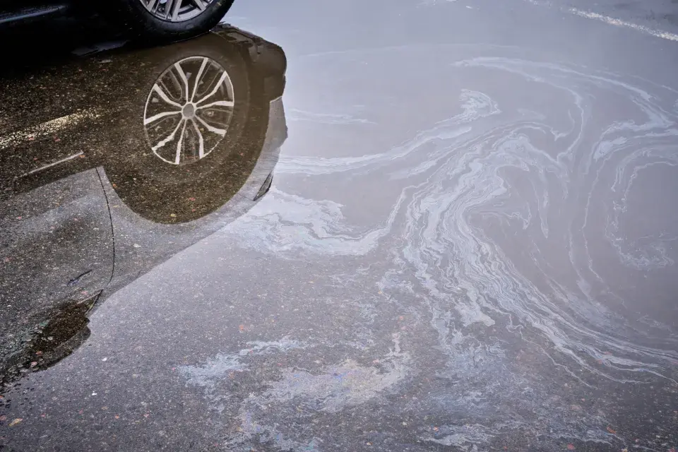 Splachy