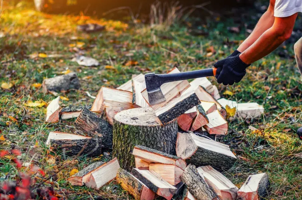 Jak správně vybrat, vysušit a skladovat dřevo a topení
