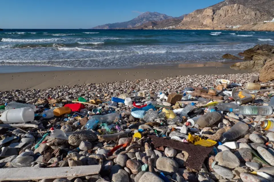 Omezování plastů v praxi. Hotelové minišampony, sáčky s omáčkami a vlastní hrnky a krabičky