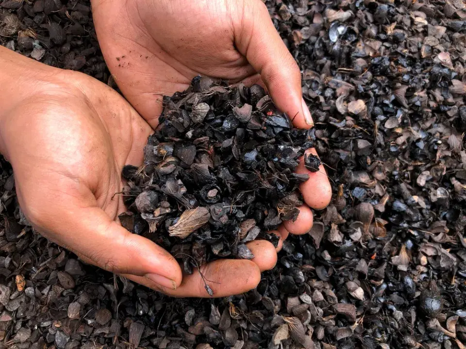 Pecky z třešní a višní jako palivo do kotle a alternativa topení biomasou