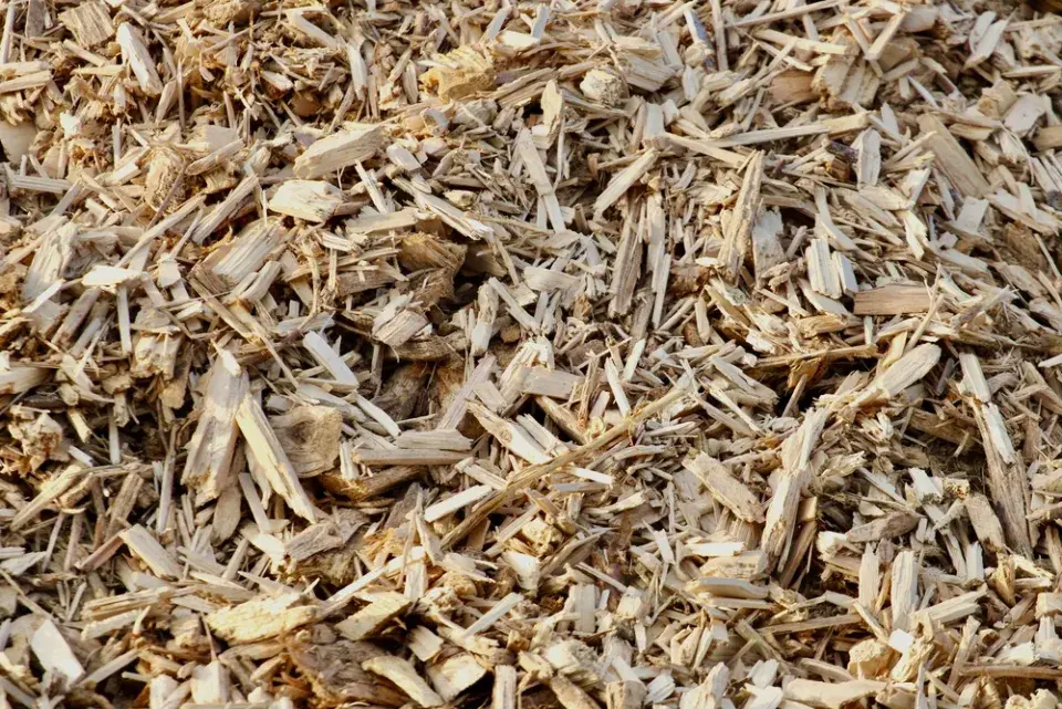 Pecky z třešní a višní jako palivo do kotle a alternativa topení biomasou