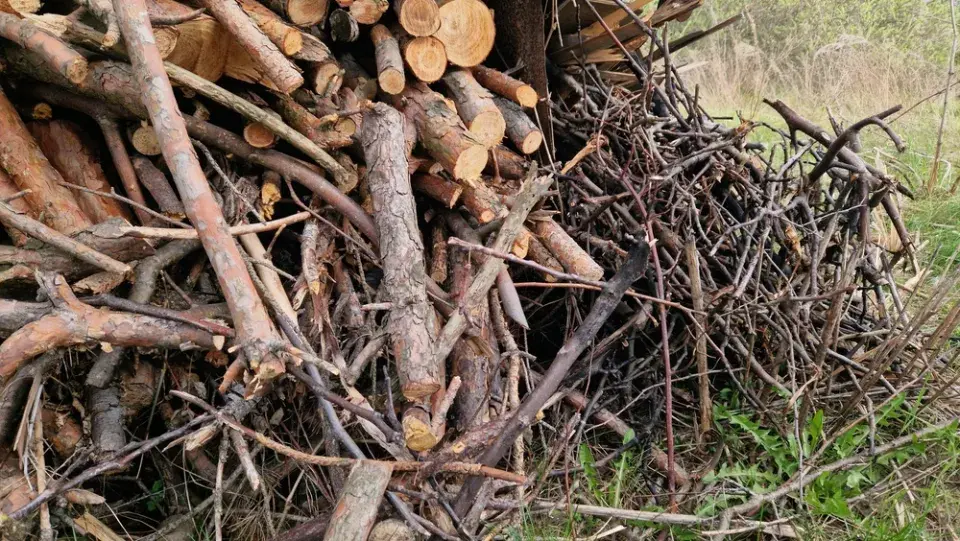 Jak správně vybrat, vysušit a skladovat dřevo a topení