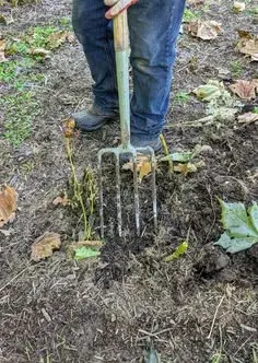 Vyrýpnutí