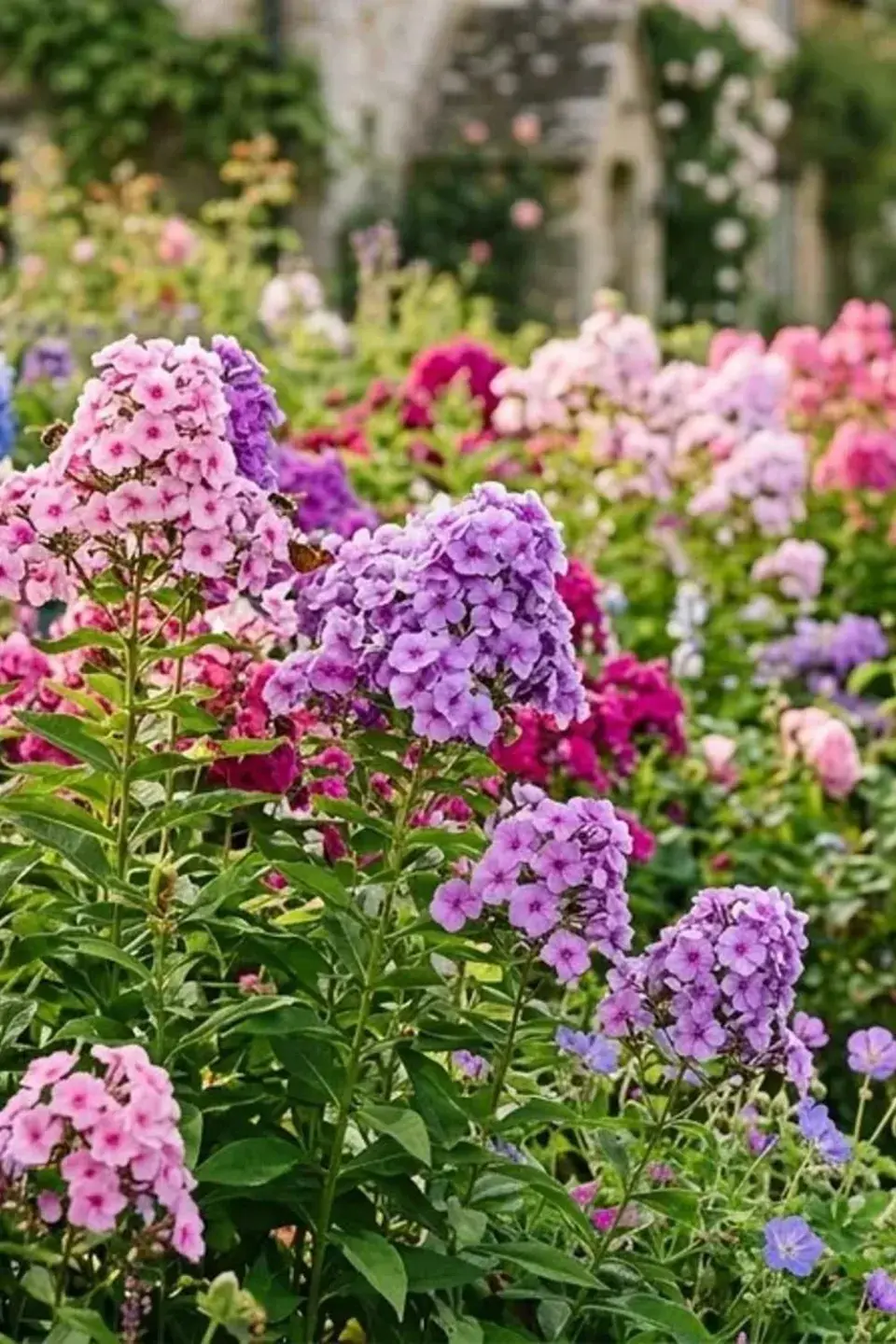 Flox