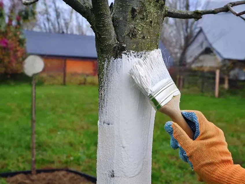 Natírání