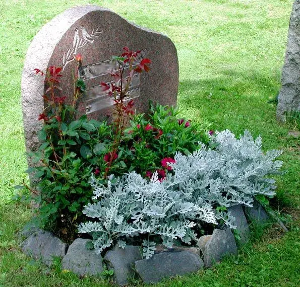 Osázení hrobu na podzim rostlinami, které vytvoří krásnou a důstojnou výsadbu