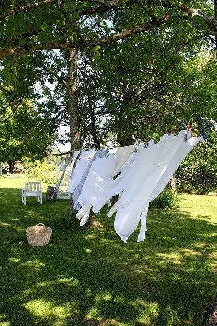 Dezinfekce 
