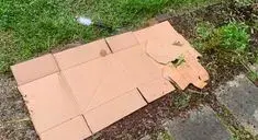 Jak proměnit trávník v záhon pomocí mulčování kartonem