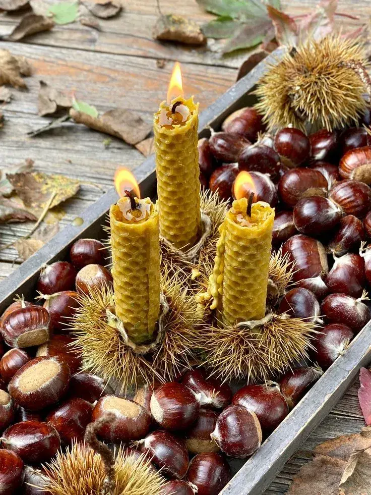 Podzimní dekorace z kaštanů