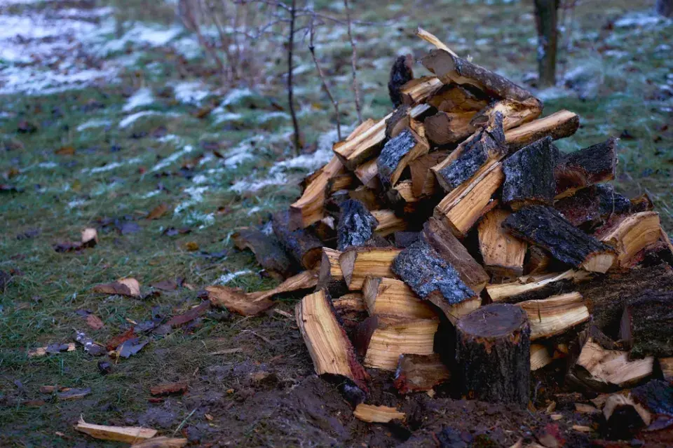 Mokré dřevo může zbytečně zanášet spalinové cesty a přivést úředníky na kontrolu komínu