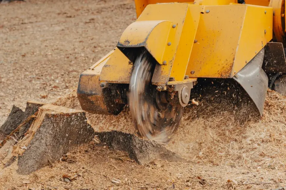 Způsoby likvidace pařezu mechanicky i nenásilně