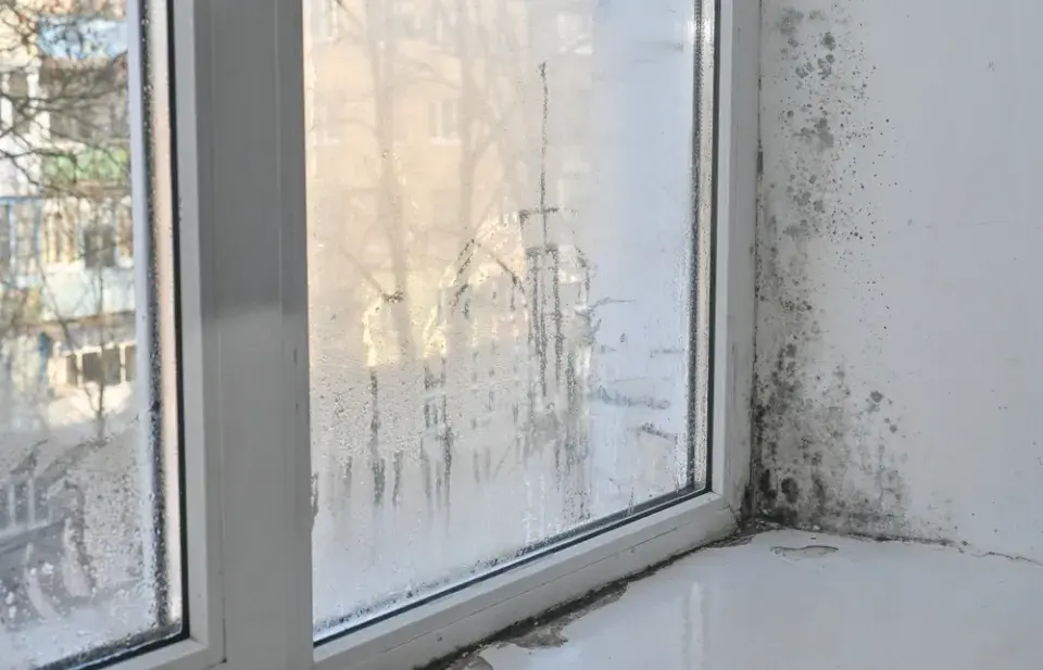 Rosící se okna, kde hledat příčinu a jak problém řešit