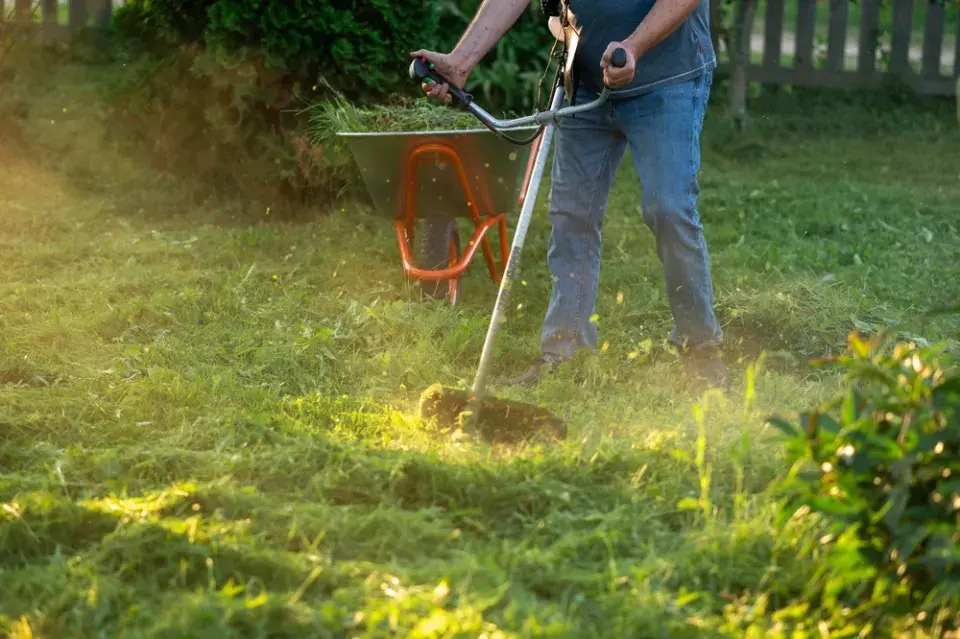Práce na zahradě, které mohou vadit sousedům