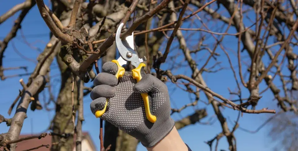 Investujte i do kvalitních zahradních nůžek