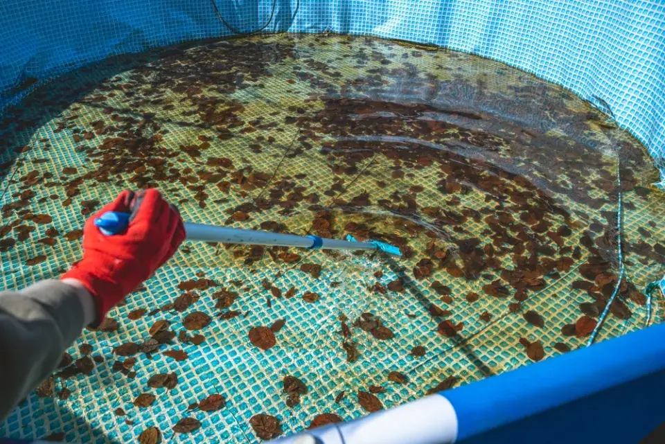 Příprava zahrady na zimu nemusí začít podle kalendáře