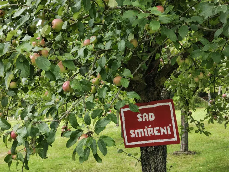 Sad Smíření v Neratově v Orlických horách
