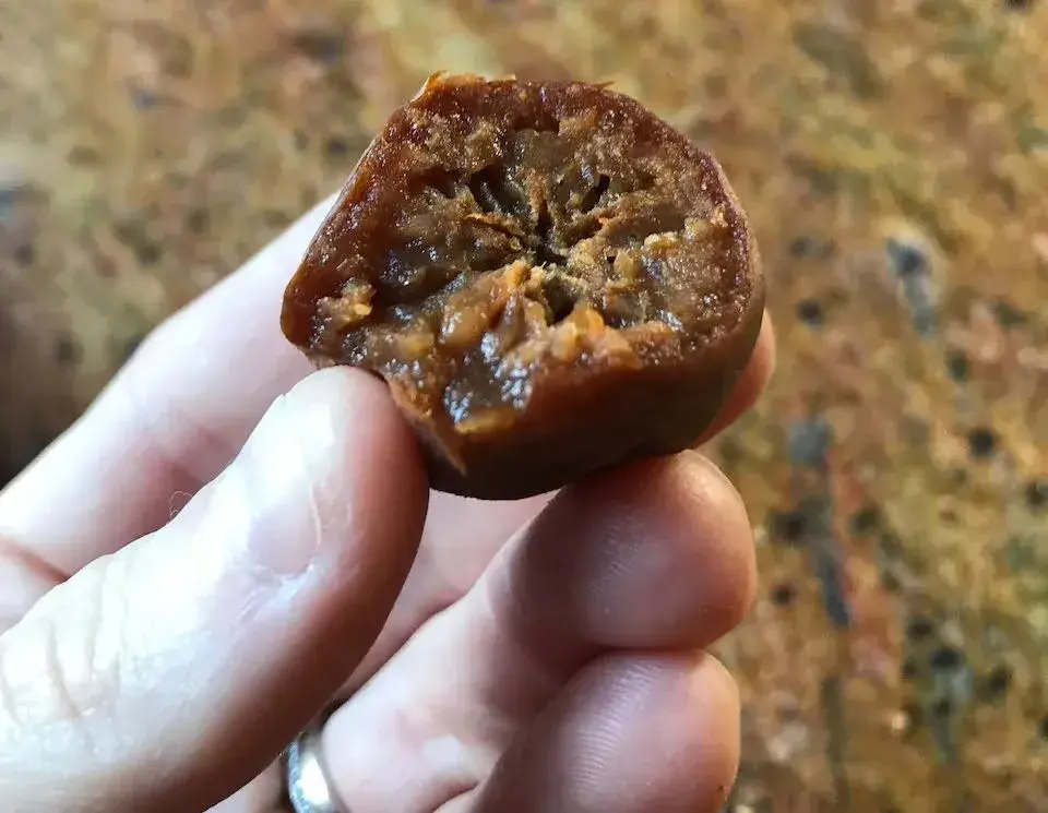 Mišpule