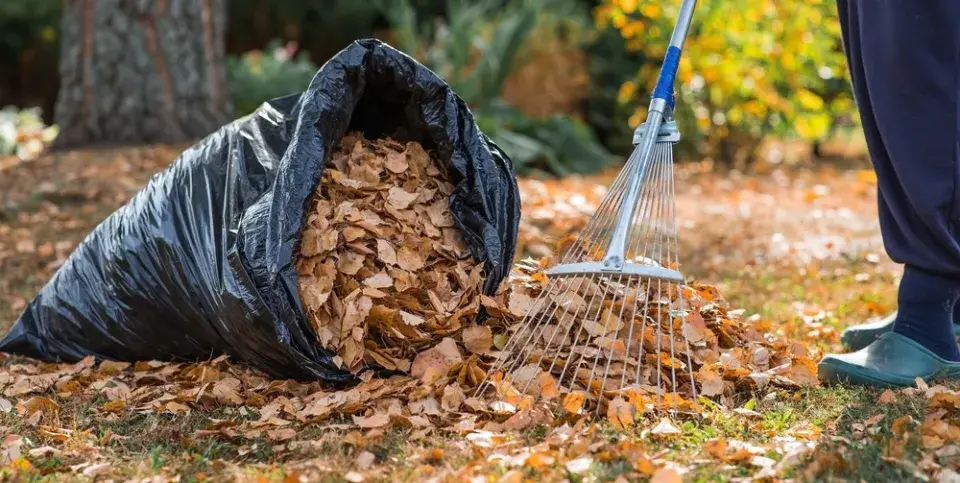 Jak zpracovat spadané listí při úklidu. Vyrobte si mulč sekačkou
