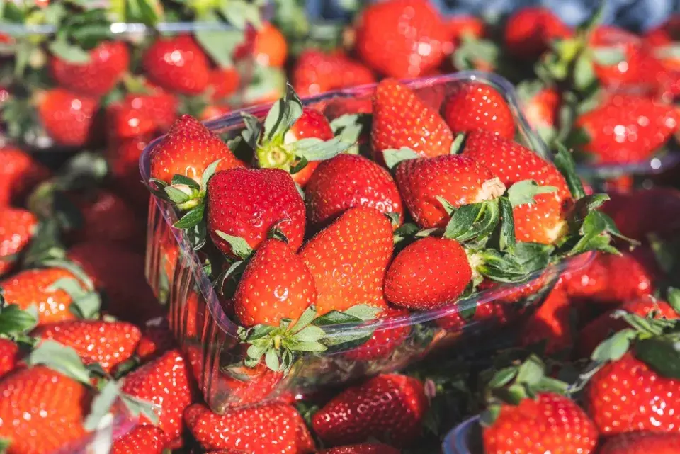 Ovoce a zelenina ve filmu. Poznáte je podle nápovědy?