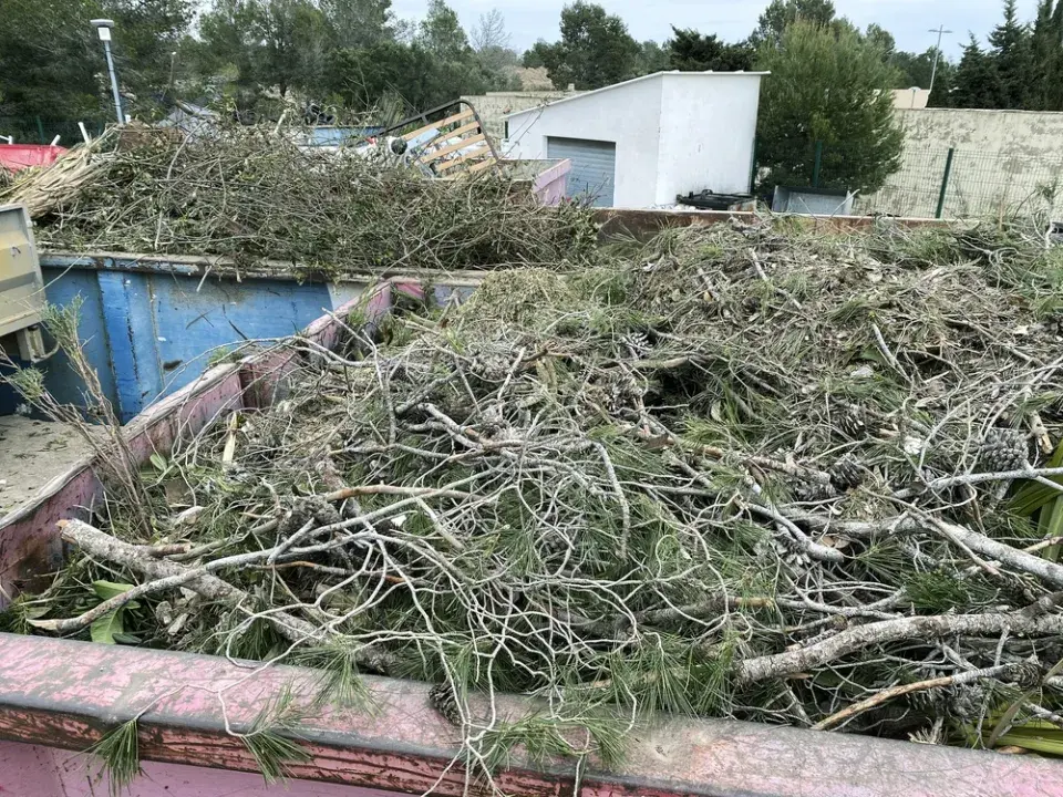 Jak zlikvidovat větve po řezu keřů a stromů na zahradě