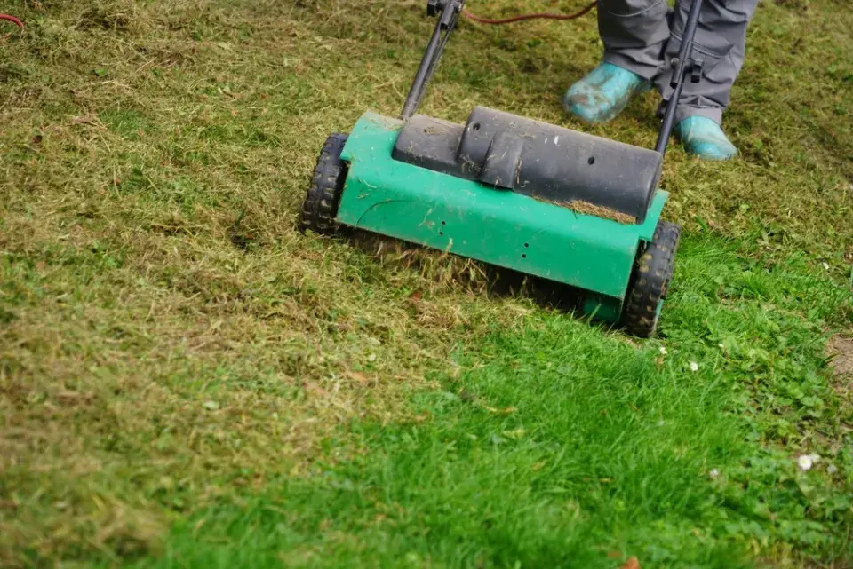 Mech v trávníku odstraníte vertikutací, provzdušněním a správnou podzimní péčí