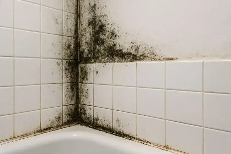 Plíseň v koupelně