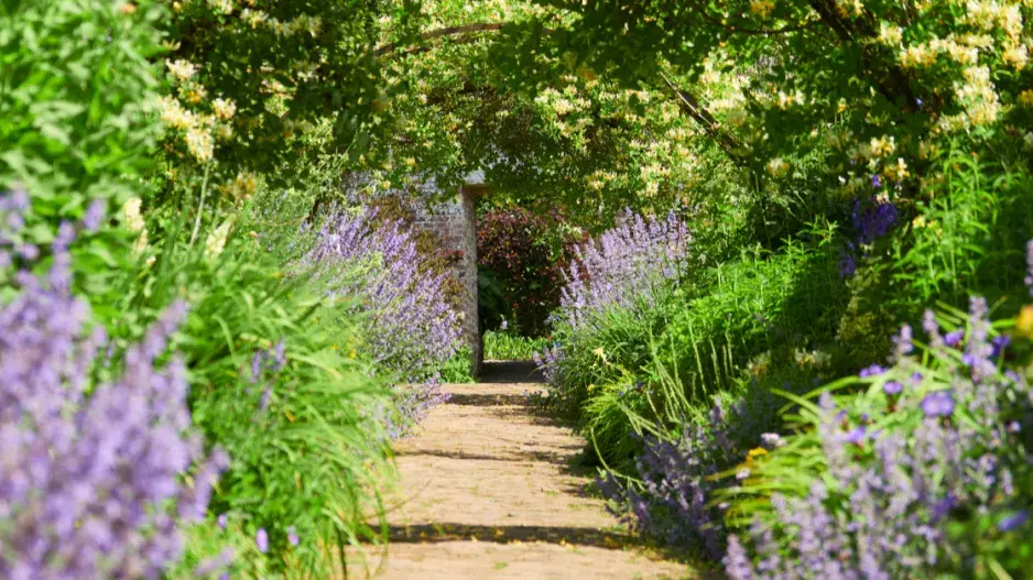 Přímá cesta zelení