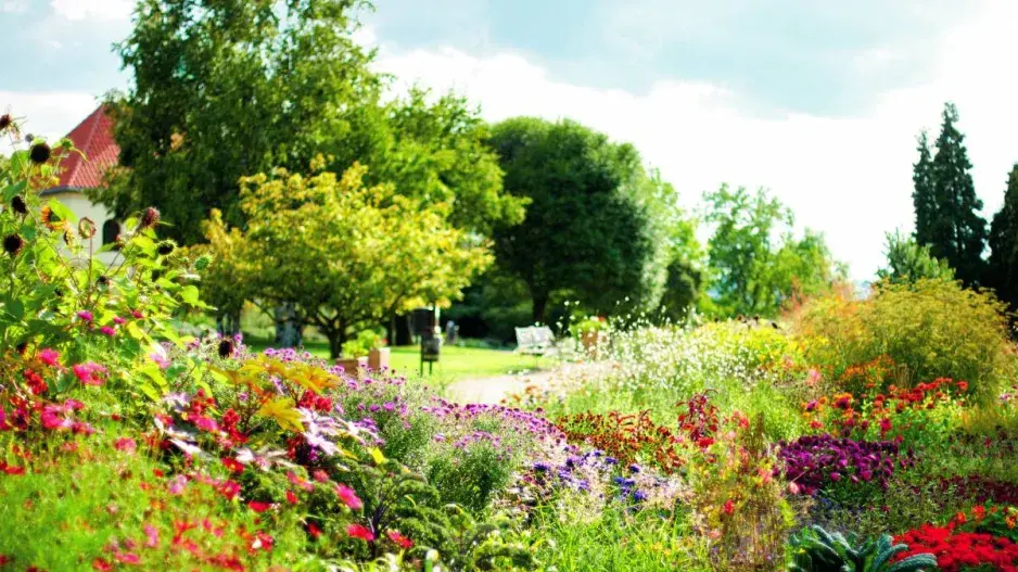 Botanická zahrada v Troji