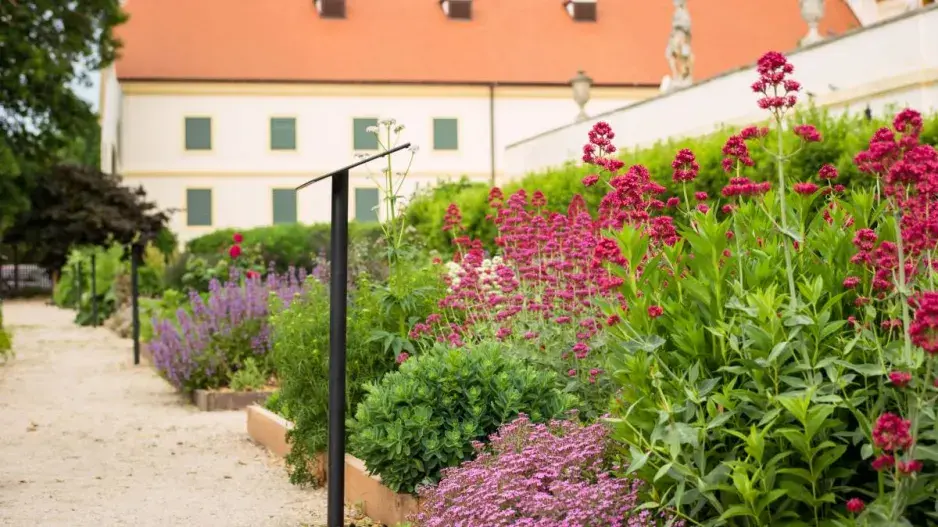 Bylinková zahrada ve Valticích