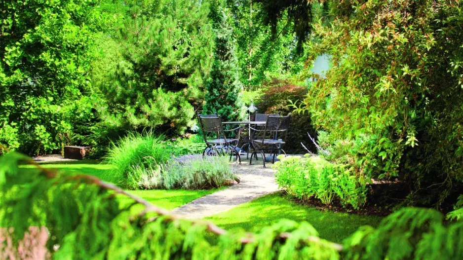 Zahradní posezení mezi stromy Zahradní posezení mezi stromy