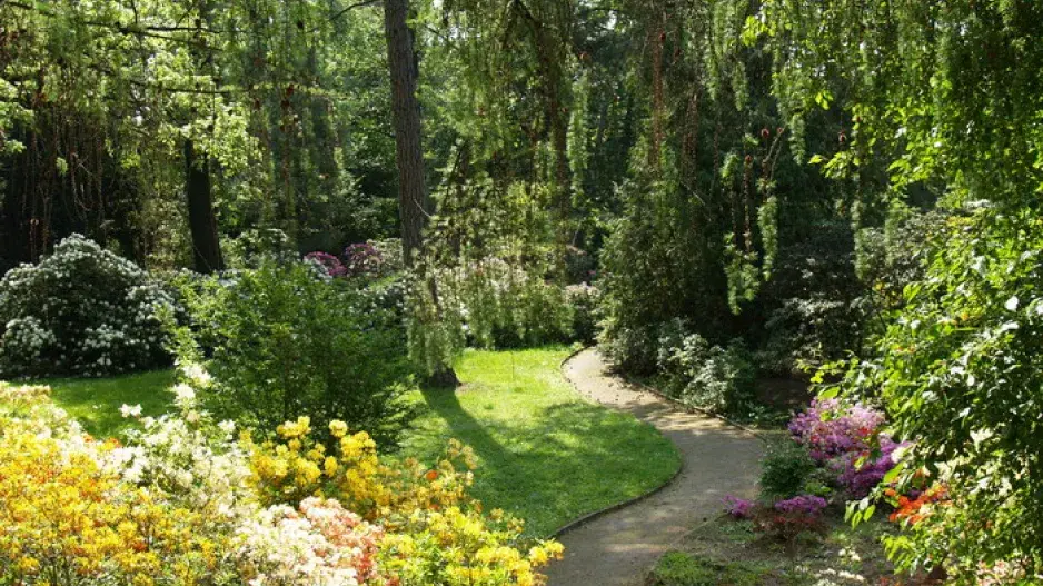 Pěšina mezi rozkvetlými záhony Pěšina mezi rozkvetlými záhony