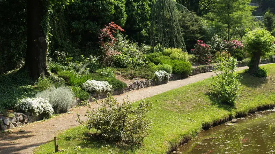 Břeh rybníku Břeh rybníku