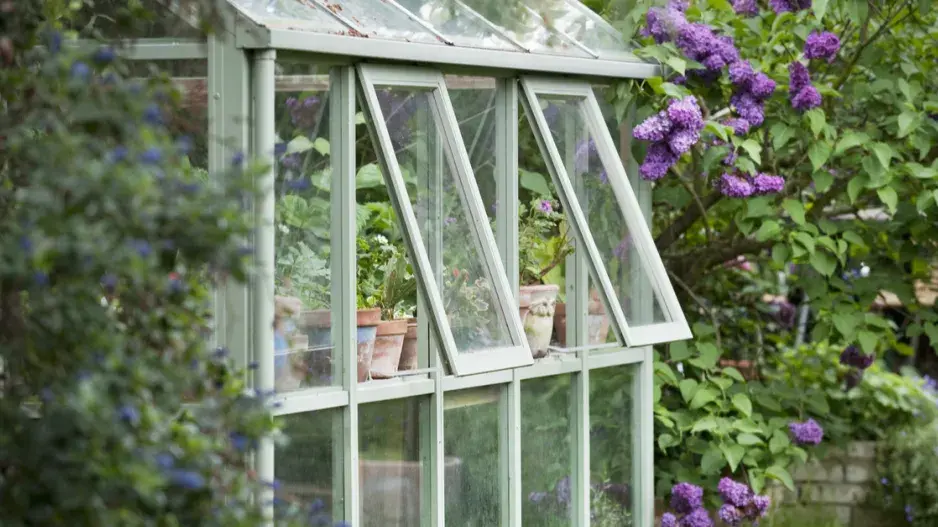 Otevřená okna skleníku